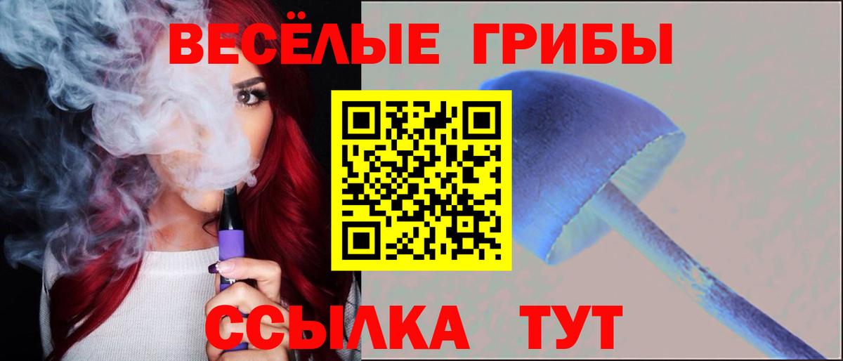 Обь  Псилоцибиновые грибы GOLDEN TEACHER  Вход с VPN  Галлюциногенные грибы мухоморы 
